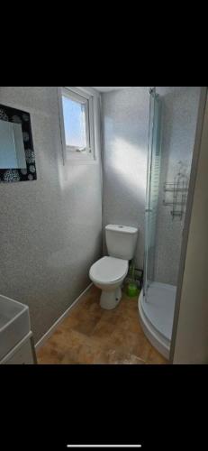 a small bathroom with a toilet and a shower at 2 Bedroom Chalet Isle of Sheppey Holiday Village in Kent