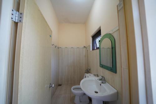 a bathroom with a sink and a toilet and a mirror at Anuradha Holiday Apartments in Anuradhapura
