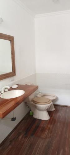 a bathroom with a sink and a toilet at Hostal Adelita in Moisés Ville