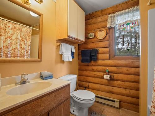 La salle de bains est pourvue de toilettes, d'un lavabo et d'un miroir. dans l'établissement Lake Flora Cabin, à Leadville