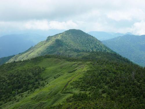 an aerial view of a mountain with trees on it at Hotel Iwasuge in Yamanouchi