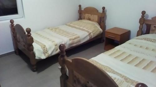 1 dormitorio con 2 camas, TV y falda en Vila Mitic, en Zlatibor
