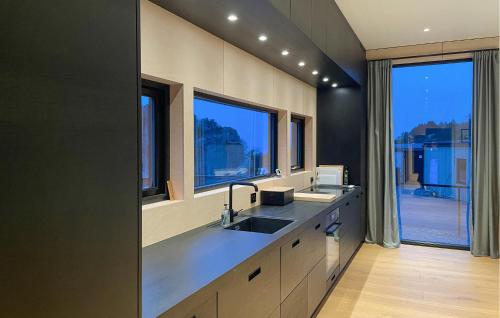 uma cozinha com um lavatório e duas janelas em Lovely Home In Lindesnes With Kitchen em Svenevik