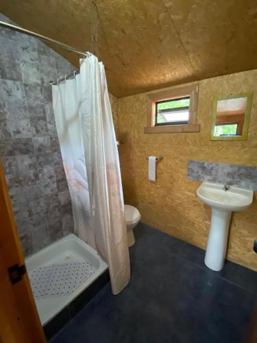 a bathroom with a shower and a sink and a toilet at Cabaña vista hermosa in Neltume