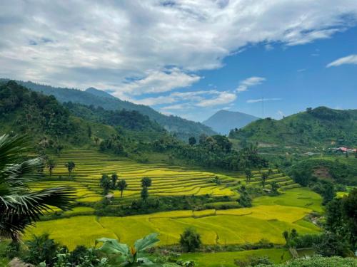 a green field with mountains in the background at Bình Bản Liền Homestay - Vang A Binh in Bắc Hà