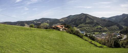 een groene heuvel met een huis erop bij Sosola Baserria in Éibar