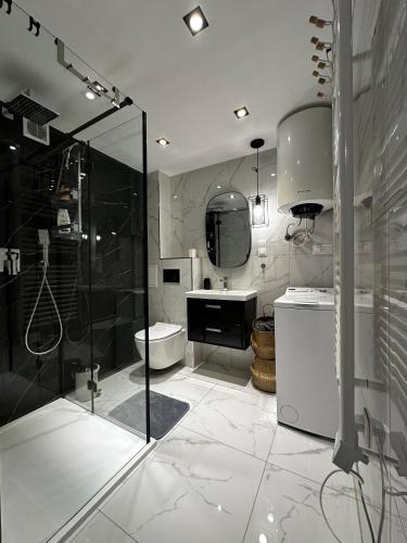 a bathroom with a shower and a toilet and a sink at Miniapartament Jelonka in Jelenia Góra