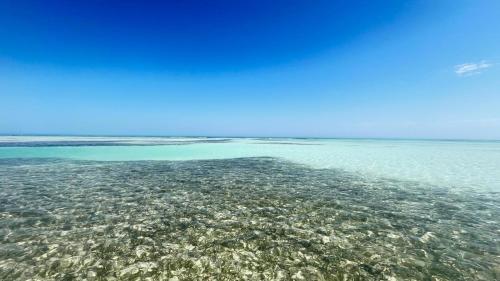 Fotografie z fotogalerie ubytování Casa Pascale v destinaci Punta Allen