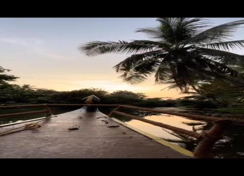 a palm tree on a bridge with a road at Riverdale Homestay Kumarakom by LexStays in Kumarakom