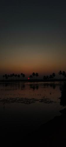 a sunset over a field with palm trees in the distance at Riverdale Homestay Kumarakom by LexStays in Kumarakom