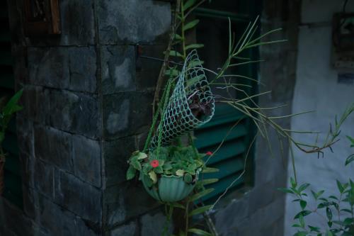 a plant in a pot attached to a brick wall at Riverdale Homestay Kumarakom by LexStays in Kumarakom
