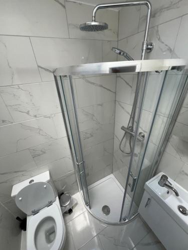y baño con ducha, aseo y lavamanos. en Cosy Studio Apartment, Flat in London, en Chislehurst