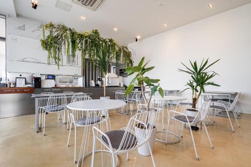 un restaurante con mesas blancas, sillas y plantas en Stay Hostel en Sokcho