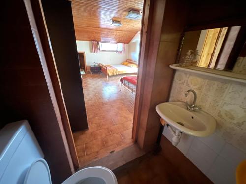 La salle de bains est pourvue d'un lavabo et de toilettes. dans l'établissement Εξοχική κατοικία με σοφίτα, à Chalcis