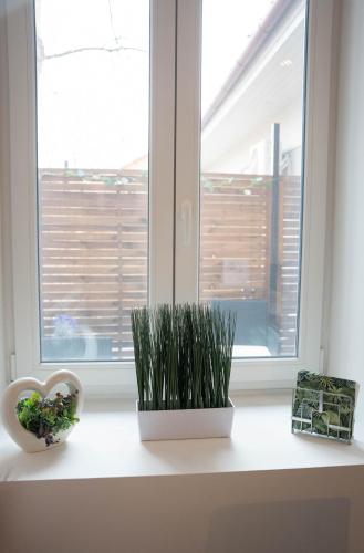 a window with two plants sitting on a window sill at Perle Vendégház in Kesztölc