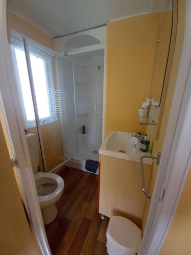 une salle de bain avec toilettes et lavabo dans l'établissement Mobilhome EUROPA PARK, à Boofzheim