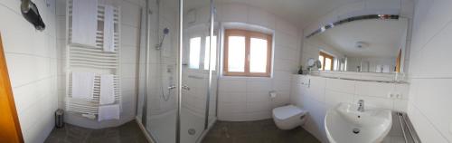 a bathroom with a shower and a toilet and a sink at Berghof Mehlan in Fischen