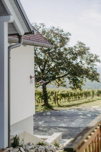 a door to a house with a view of a vineyard at Kellerstöckl Das Csaterberg in Csatherberg