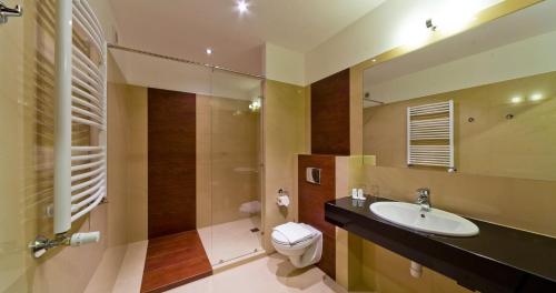 a bathroom with a sink and a toilet and a mirror at Hotel Zimnik Luksus Natury Spa & Wellness in Szczyrk