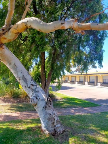 Φωτογραφία από το άλμπουμ του Bayview Motel σε Esperance