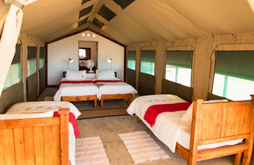 1 dormitorio con 4 camas en una habitación con ventanas en Hakusembe River Camping2Go, 