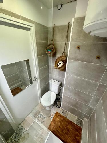 une salle de bain avec toilettes et miroir dans l'établissement BALARUC FAMILLE, à Balaruc-les-Bains