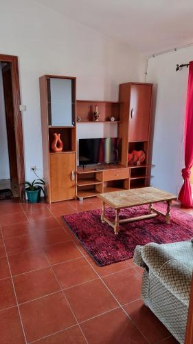 a living room with a couch and a table and a tv at Casa da Oliveira in Pegarinhos