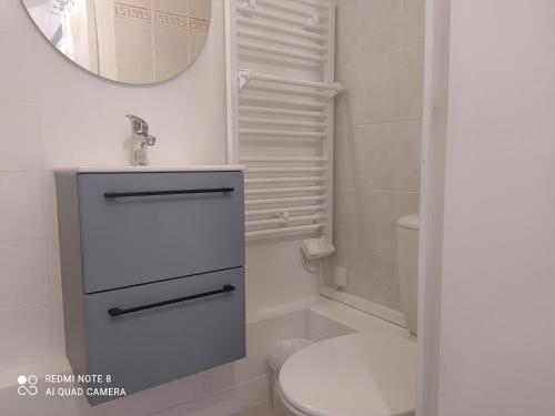 une salle de bain avec toilettes, lavabo et miroir dans l'établissement Le Sillon - Appartement proche de la plage, à Saint-Malo
