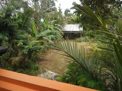 a view of a garden with trees and a house at Kadek Homestay in Besakih