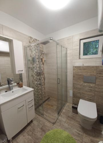 a bathroom with a shower with a toilet and a sink at Chill House Danzug Gyomaendrőd in Gyomaendrőd