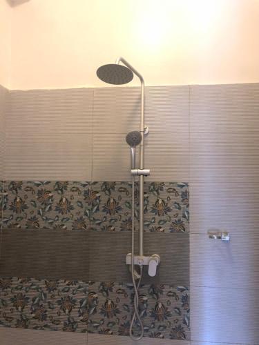 a shower with a shower head in a bathroom at Apartment in Dar es salaam, Palm Village in Dar es Salaam