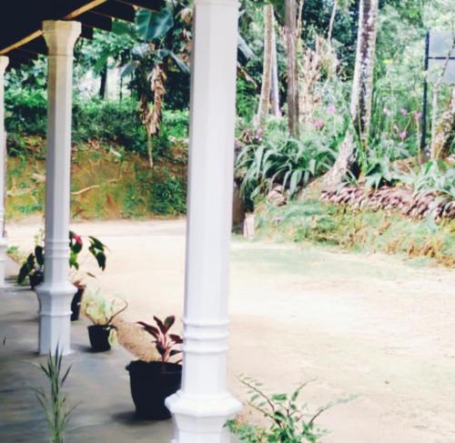 un par de columnas blancas con plantas en ollas en Sinharaja Greenvilla Homestay, en Mederipitiya