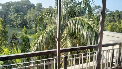 a view from the balcony of a resort with palm trees at Property King in Singapore
