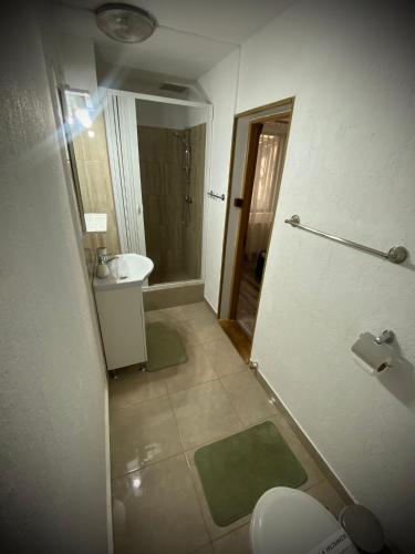 a bathroom with a shower and a toilet and a sink at Casa Adriana in Băile Herculane