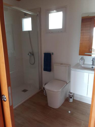 a bathroom with a toilet and a shower and a sink at El Refugio in Guía de Isora