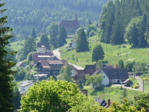 a village on a hill with trees and a road at Haus Gisela in Forbach