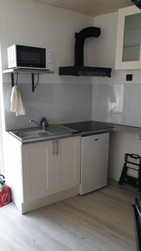 une cuisine avec un évier et un micro-ondes dans l'établissement BACKSTAGE STUDIO, à Maury