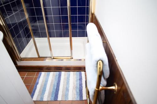a bathroom with a bath tub in a room at Maes yr Afon St Dogmaels in Saint Dogmaels