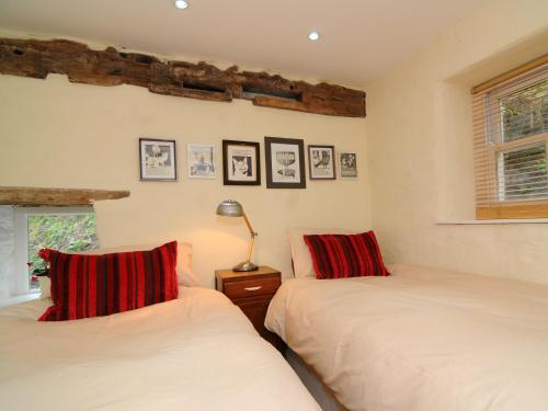 a bedroom with two beds with red pillows at The Old Mill Devils Bridge in Llanilar