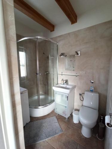 a bathroom with a shower and a toilet and a sink at Kostek in Rowy
