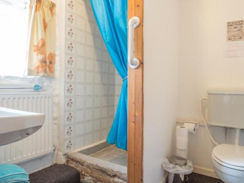 a bathroom with a toilet and a blue shower curtain at Rhyd y Brown Cottage Llys Y Fran in Pen-ffordd