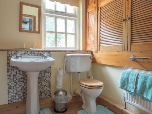a bathroom with a toilet and a sink and a window at Rhyd y Brown Farmhouse Llys Y Fran in Pen-ffordd