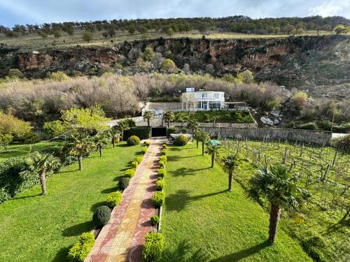 uma vista aérea de um jardim com palmeiras em Vila Horizont em Baks-Rrjoll