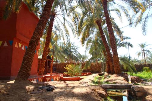 un grupo de palmeras frente a un edificio en Omar Oasis, en Siwa