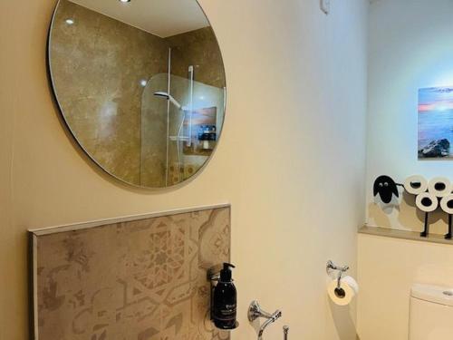 a bathroom with a mirror on the wall and a toilet at The Galleries No 2 in Spean Bridge