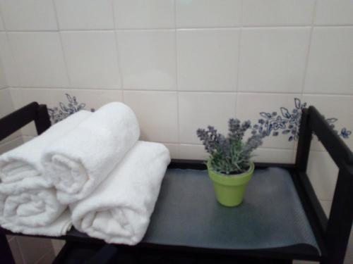 einen Tisch mit Handtüchern und eine Pflanze im Bad in der Unterkunft Estevas de Monsaraz in Monsaraz