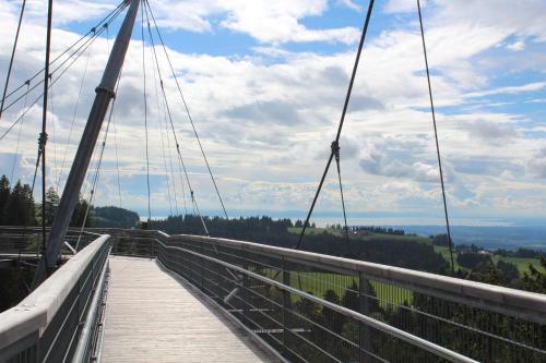a suspension bridge with a view of the valley at Ferienwohungen Familie Schröttle in Sonthofen