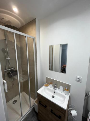 un bagno con doccia e lavandino bianco di La maison castelpontine T3 a Pont-du-Château