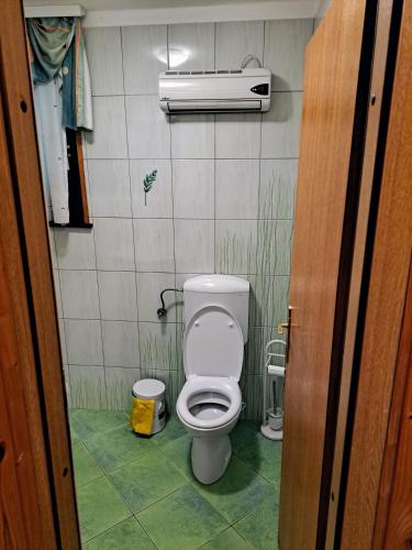 a bathroom with a toilet in a small room at Hiša Palček in Brežice
