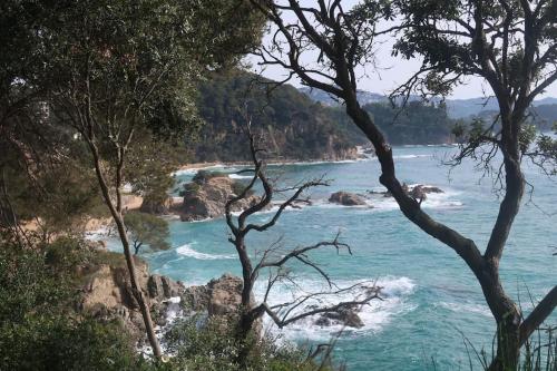 a view of the ocean through some trees at Apartamento Blanes playa (Costa Brava) in Blanes
